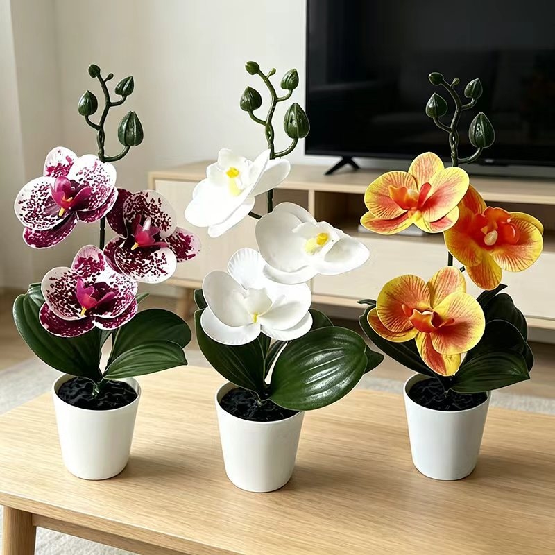 Home Decor Minimal - Mini Vlinderorchidee in pot met 3