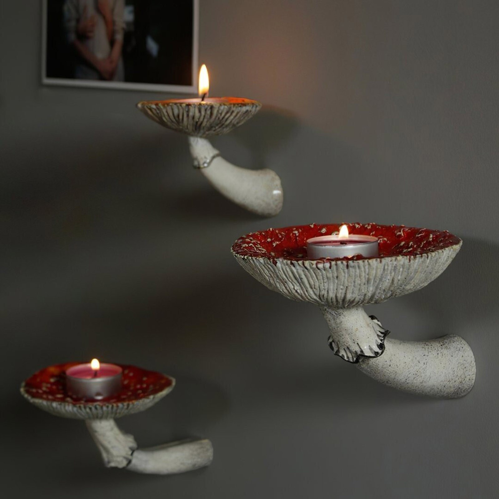 2024 Creatieve Hars Paddestoel - Floating Shelves recensie en prijs