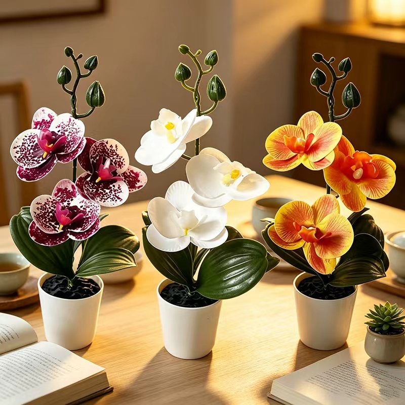 Mini Vlinderorchidee in pot me - Home Decor Minimal recensie en prijs