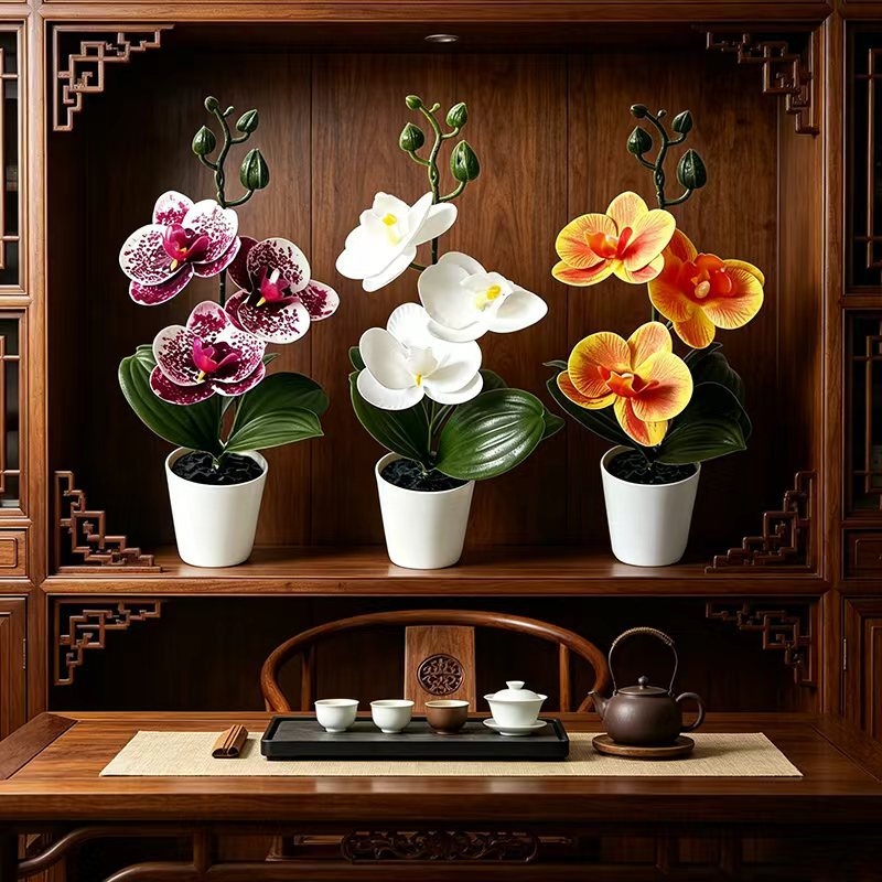 Mini Vlinderorchidee in pot me - Home Decor Minimal recensie en prijs