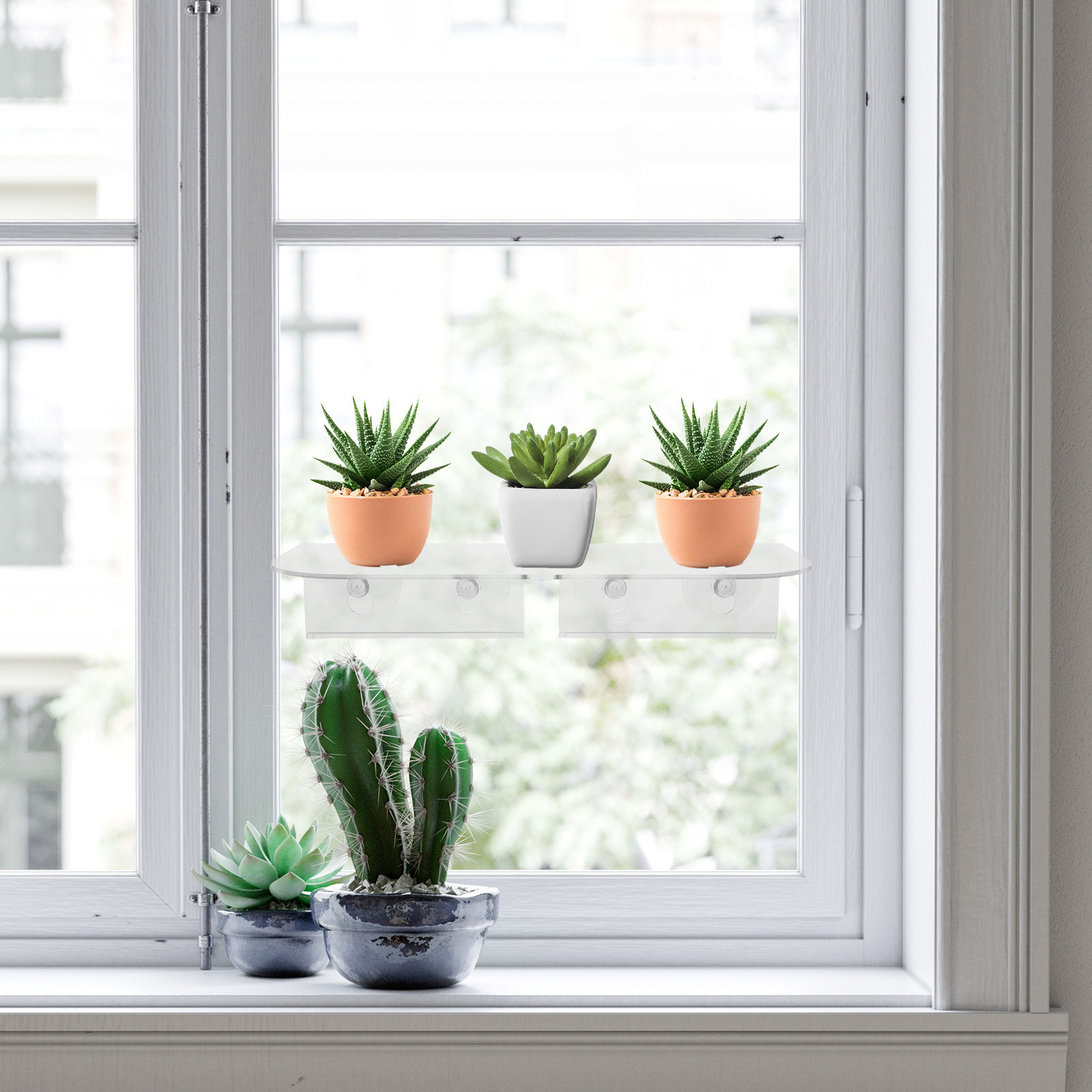 Zuignap Raamplantenplank Acryl - Floating Shelves recensie en prijs